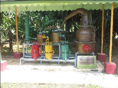 Batch-Distillation-Model-Appleton-Rum-Jamaica.Jpg