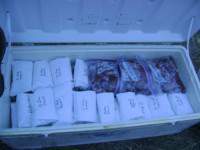 Deer camp 3 (600 x 450) (500 x 375).jpg