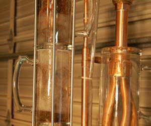 mugles refluxing.jpg