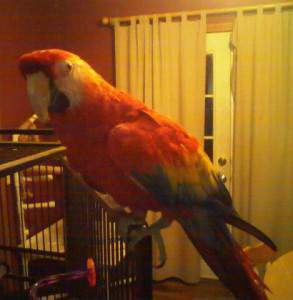 1328572926-picsay.jpg