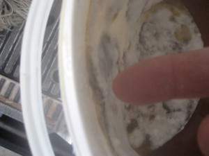 Mold thickness.JPG