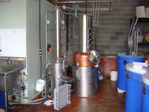 Brandy works (600 x 450).jpg