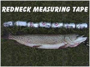 Measuring tape.jpg