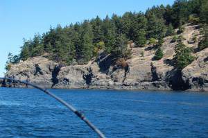 Fishing off Henry Island