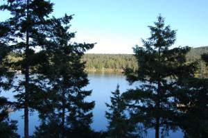My friend has a beautiful place on Wescott bay
