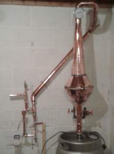 6kw pot and parrot.jpg
