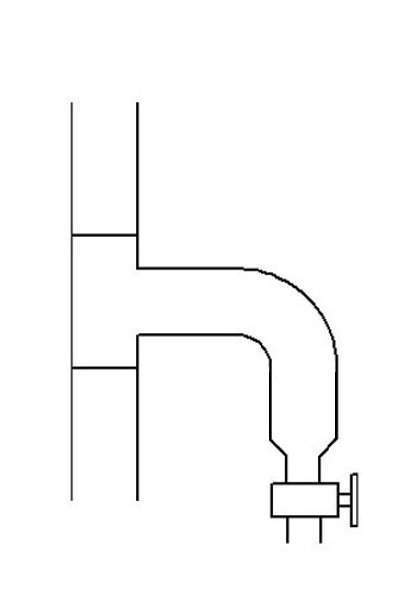 Still Head 5.jpg