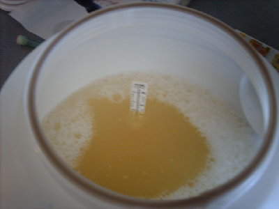 LentilWash5.JPG