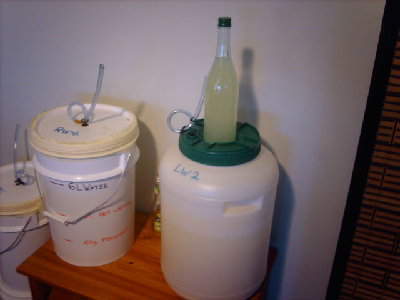 LentilWash11.JPG