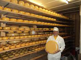 Cheeses ripening. Up to two years I think.