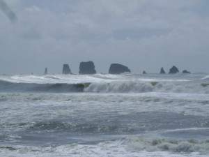 Beach at La Push 1 (600 x 450).jpg