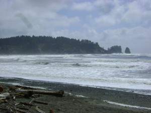 Beach at La Push 2 (600 x 450).jpg