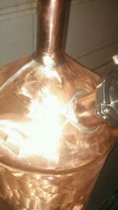 img20140301_172103.jpg