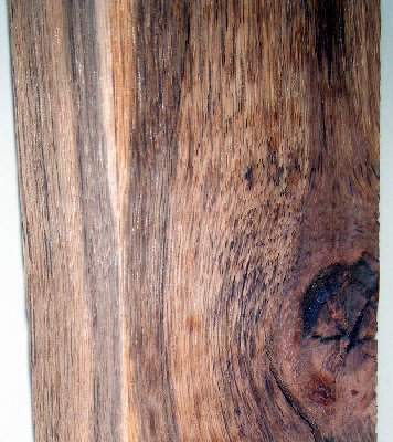 oak 02.JPG