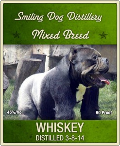 Mixed Breed.jpeg