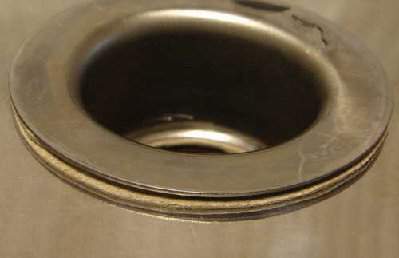 Seal 3.jpg