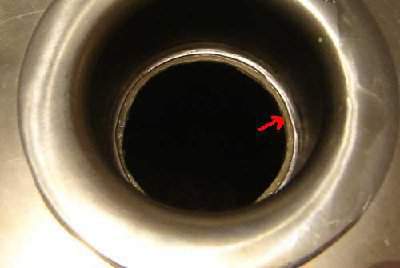 Seal 4.jpg