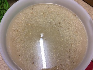 Fermenter with grain