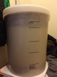 Fermenting on grain with heat pad