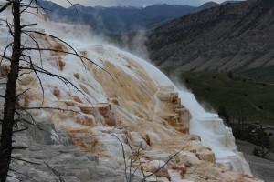 canary falls yellowstone