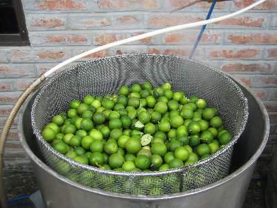 lemon in basquet