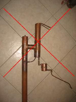 Lm no.JPG