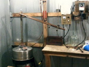 DSCF0003 (500x375).jpg