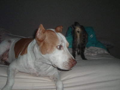 DSCF2527.JPG