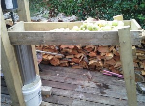 APPLE CHOPPER 07 JULY 16 #3 - C.JPG