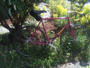 pinkbike.JPG