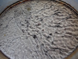 potato and old backset bucket