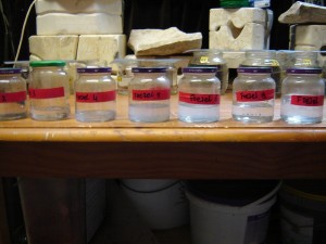 fusel jars.jpg