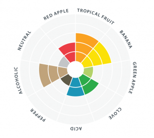 Abbaye-flavor-wheel-300x270.png