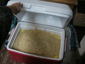 Adding the barley to the corn