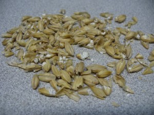 2-row malted barley run through a 0.041 roller mill