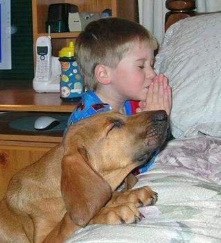 polls_boy_dog_pray_4344_811988_answer_2_xlarge.jpeg