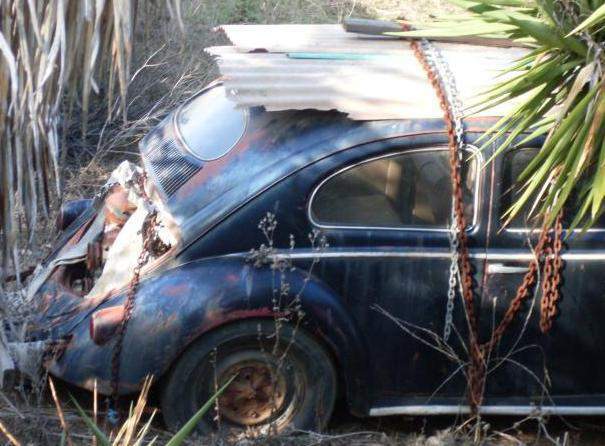 56vw.jpg