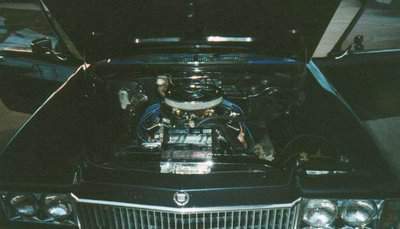 engine bay finnished2.JPG