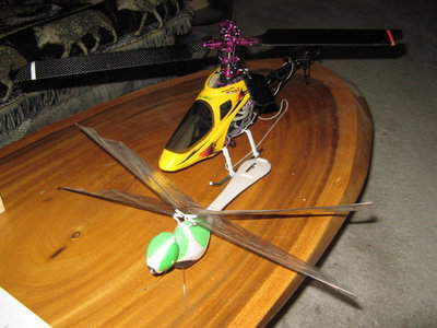 esky 001.jpg