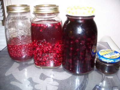 Fruit/spice infusions; pomegranate (2), blueberry, &amp; vanilla