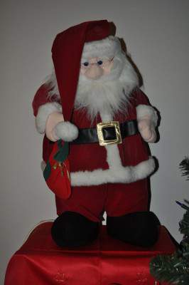 DSC_0083.jpg