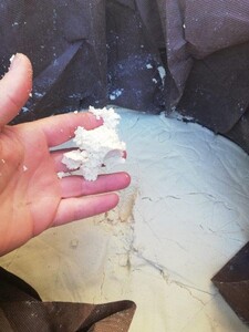 IMG_20210725_092325.jpg