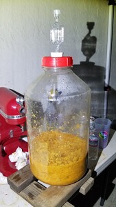 Yeast starter after transfer