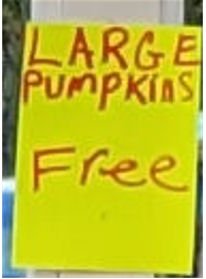 FREE PUMKINS 17 NOV 21 #4A - C.jpg