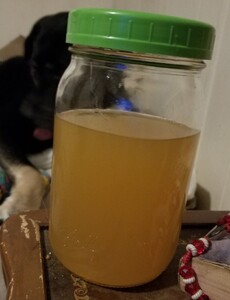 Apple Shandy.jpg