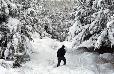 Let it snow.jpg