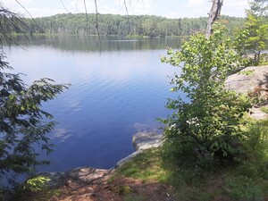 20230622_123855.jpg