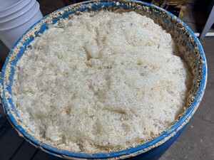 IMG_1671.jpeg