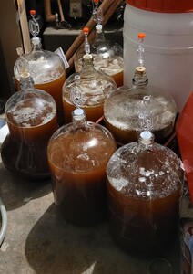 Apple cider 27 Oct 23 - C.jpg