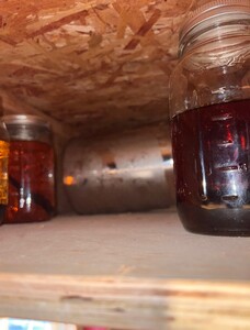 IMG_1931.jpeg